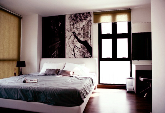 D'65 condo | condo for rent near Ekamai BTS