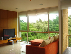 1 bedroom condo for rent at <strong>Ficus Lane</strong>